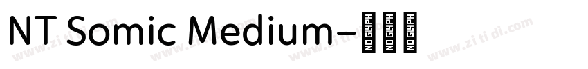 NT Somic Medium字体转换